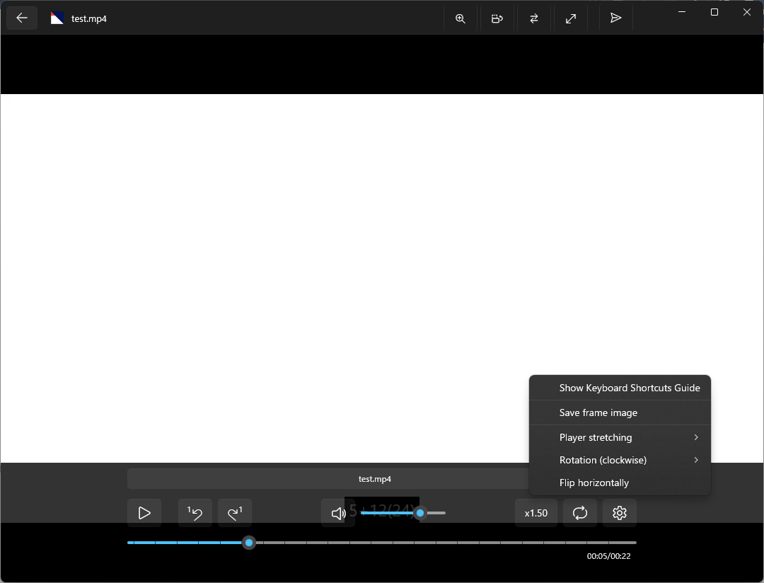 Video Viewer